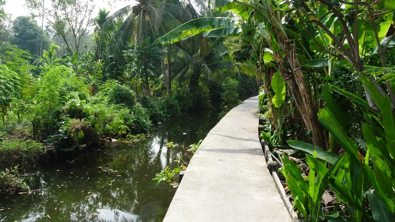 A cycling path through greenery in Bang Krachao